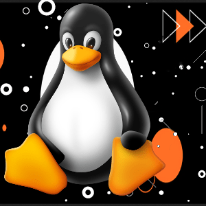 Como alterar documentos de texto e salva-los, no terminal Linux?
