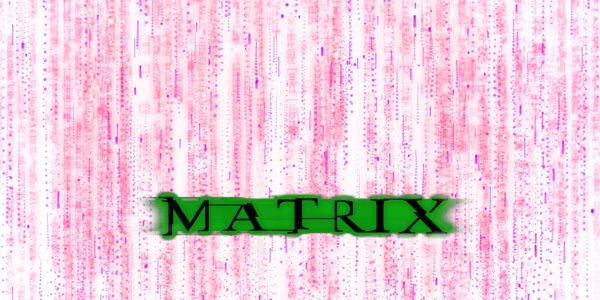 Quais os significados do termo Matrix?