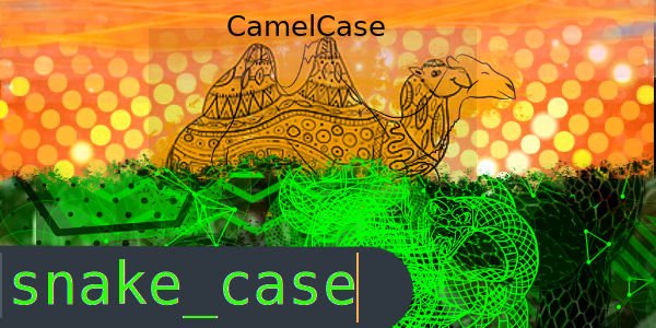 camelCase ou snake_case quando usar cada um?