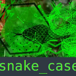 imagem referente a O que é snake_case?